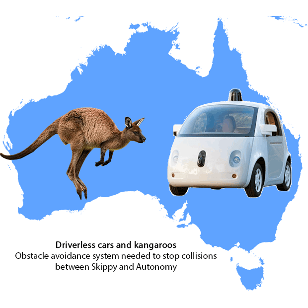 Driverless cars and kangaroos