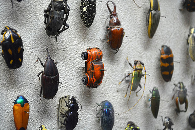 Volkswagen will stop making Beetles in 2019