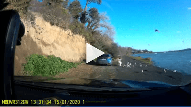 Dublin motorist caught on camera ploughing through a flock of birds and driving over a swan